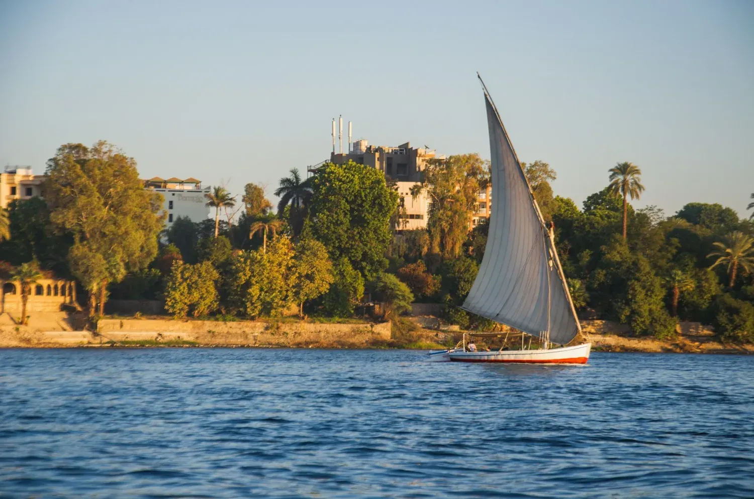 Felucca in Aswan: how to plan the perfect sail on the Nile